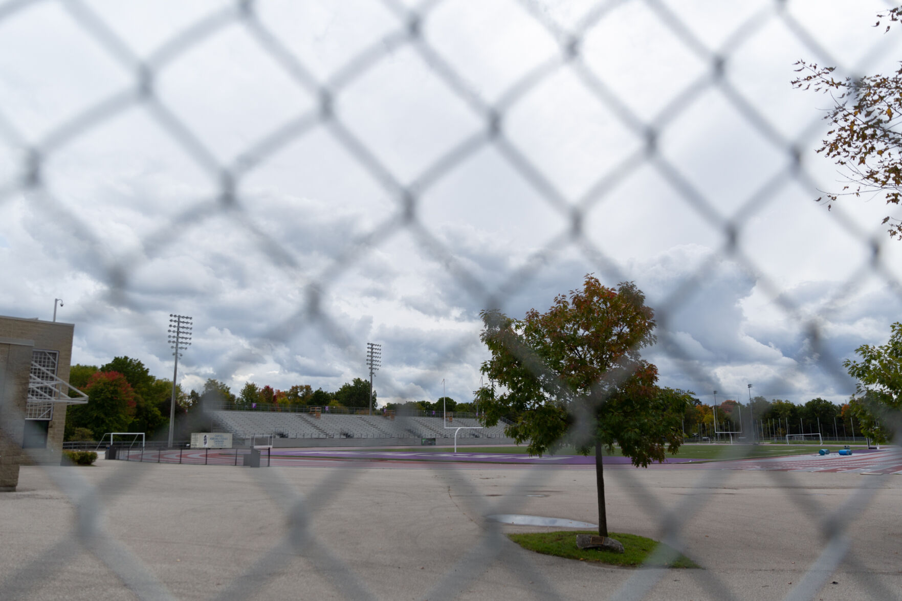 TD field (1)